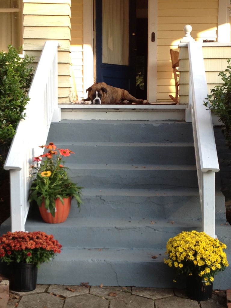 We also got a Porch Dog and named her Magnolia Blossom.